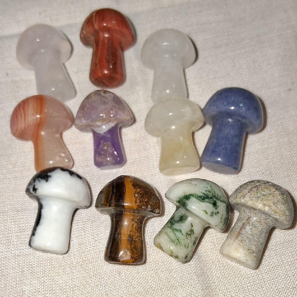 MM3 Assorted Stone Mushroom Figurines - Set of 11